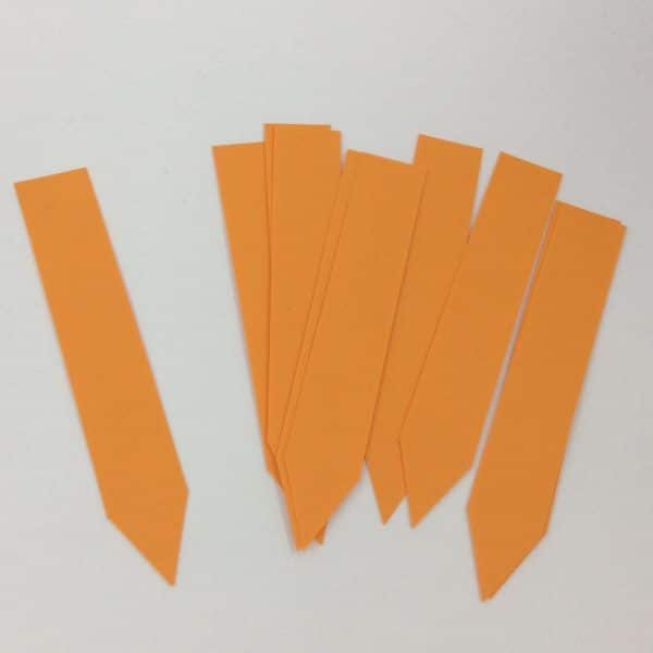 89869425_2517399411921177_3695699958117171200_n